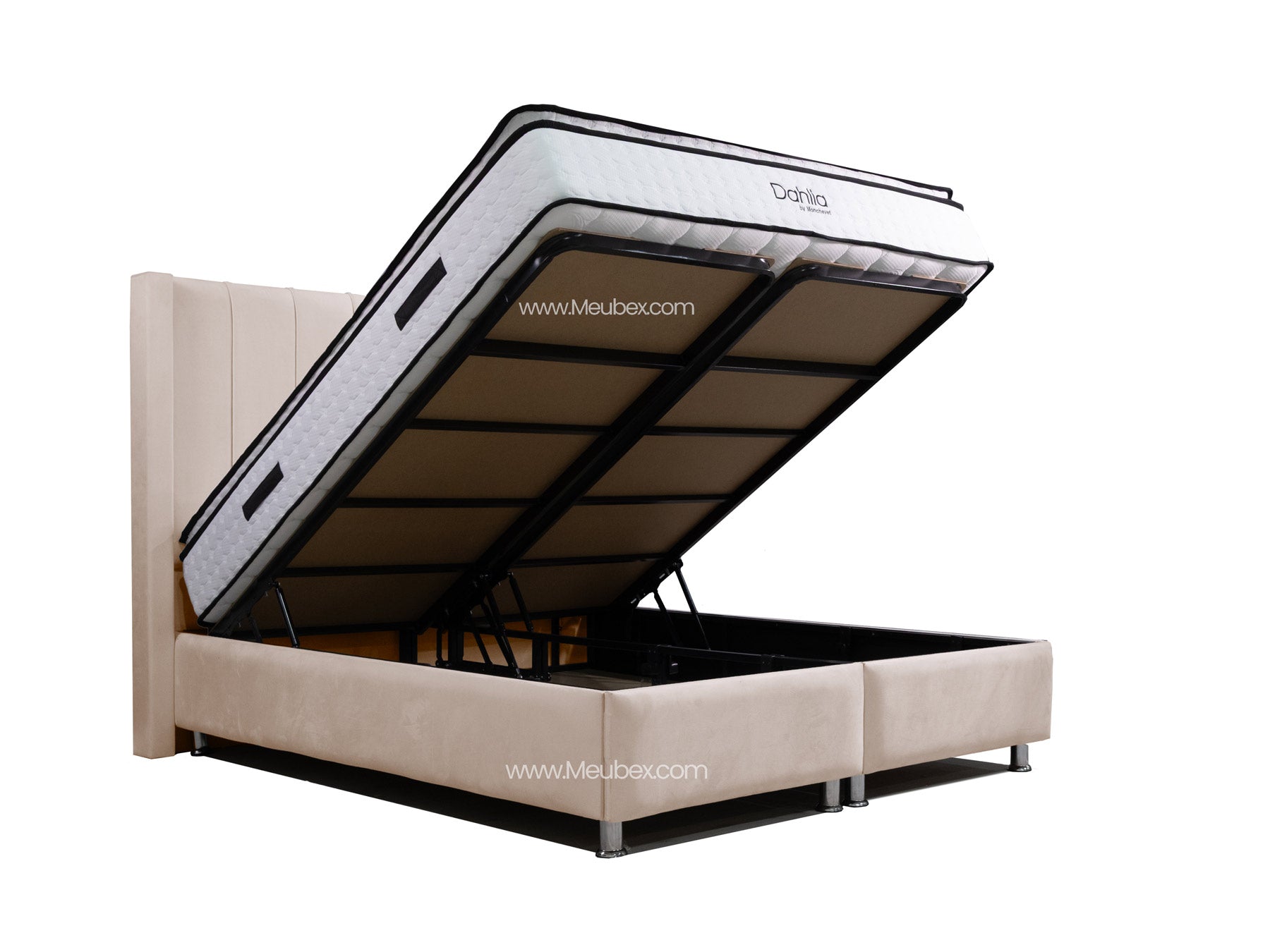 Pack Tokyo Beige x Dahlia x Lexus Marbella Beige