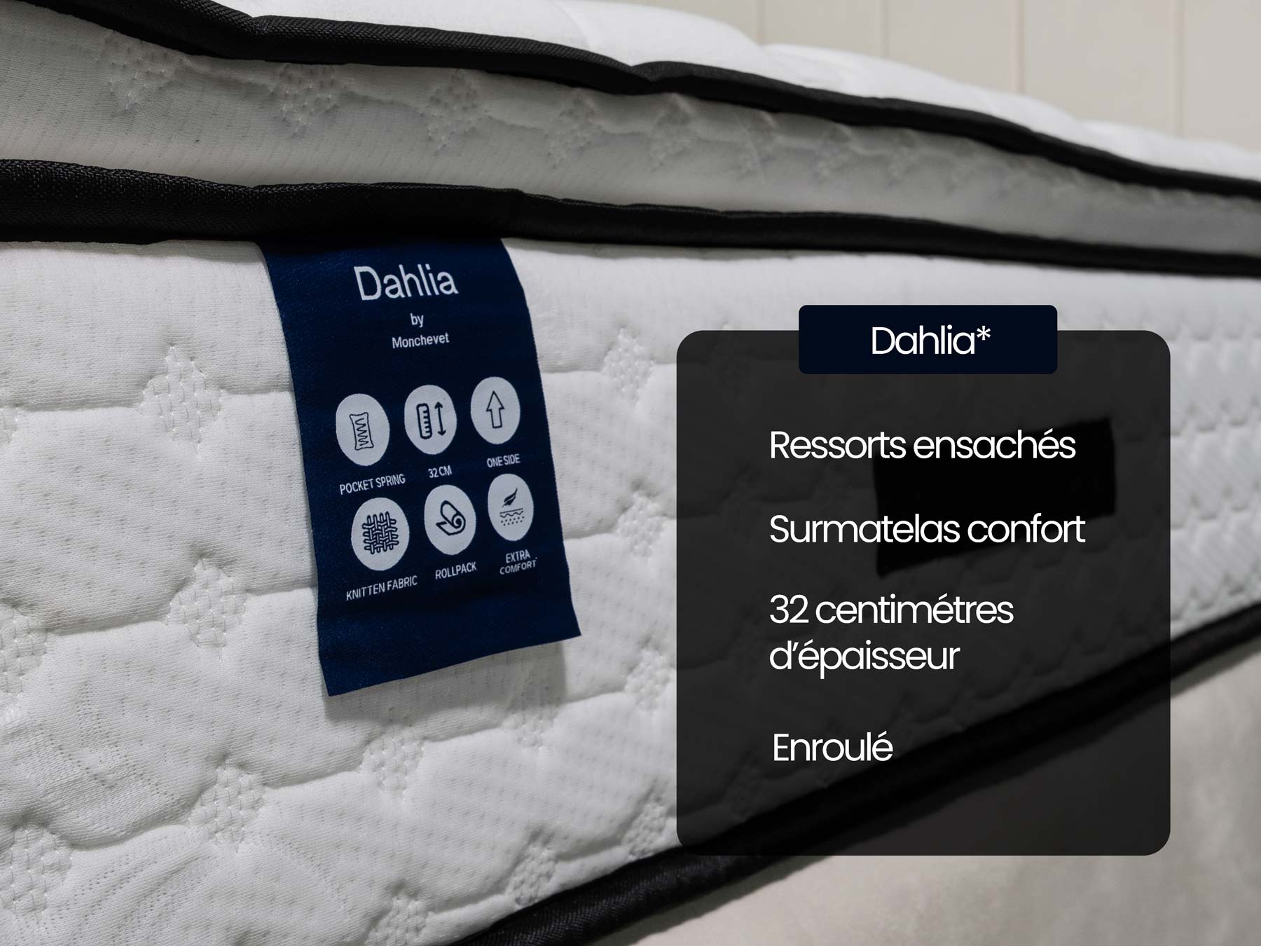 Pack Cloute | Dahlia 32cm