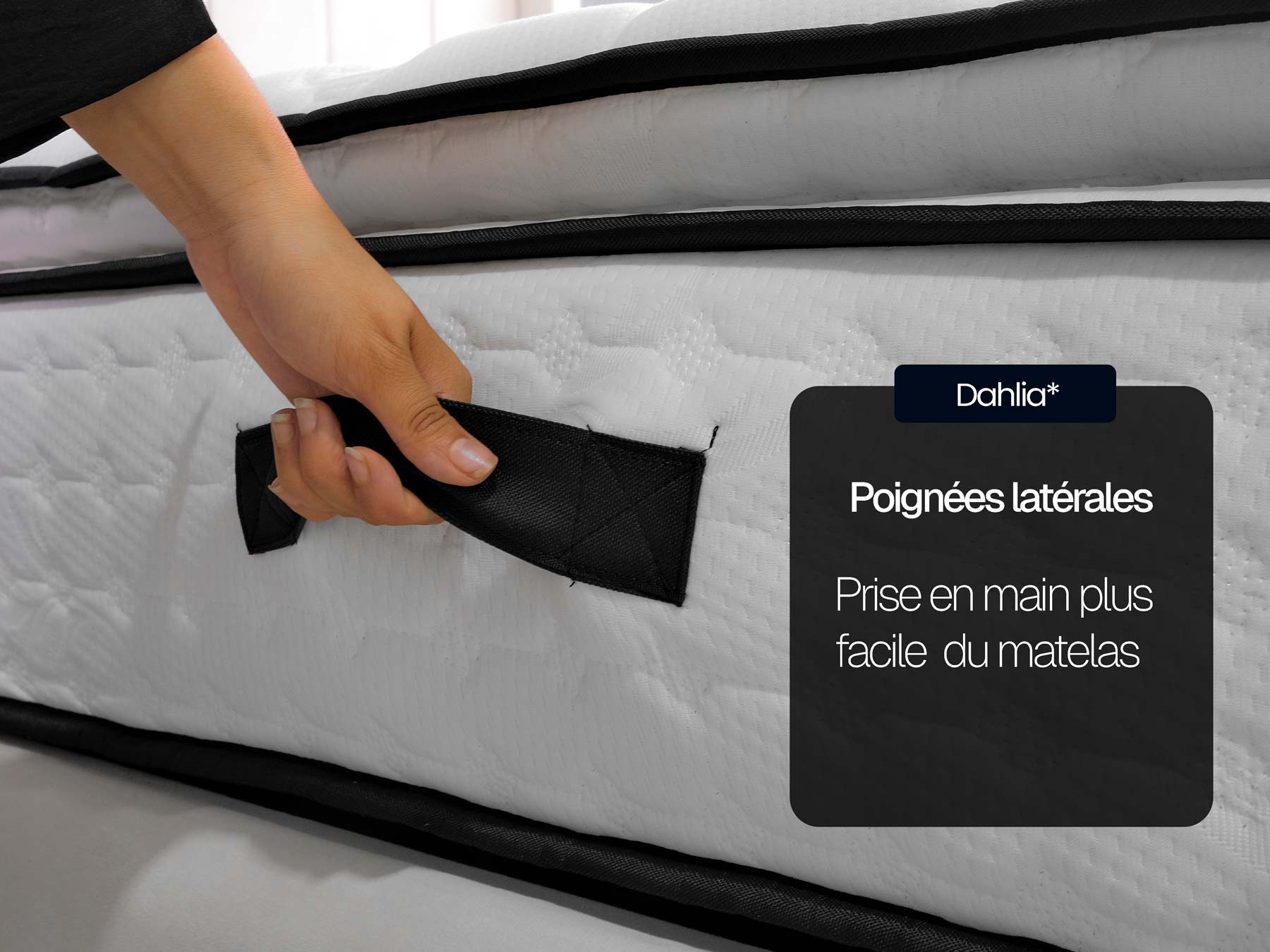 Pack Jade | Dahlia 32cm