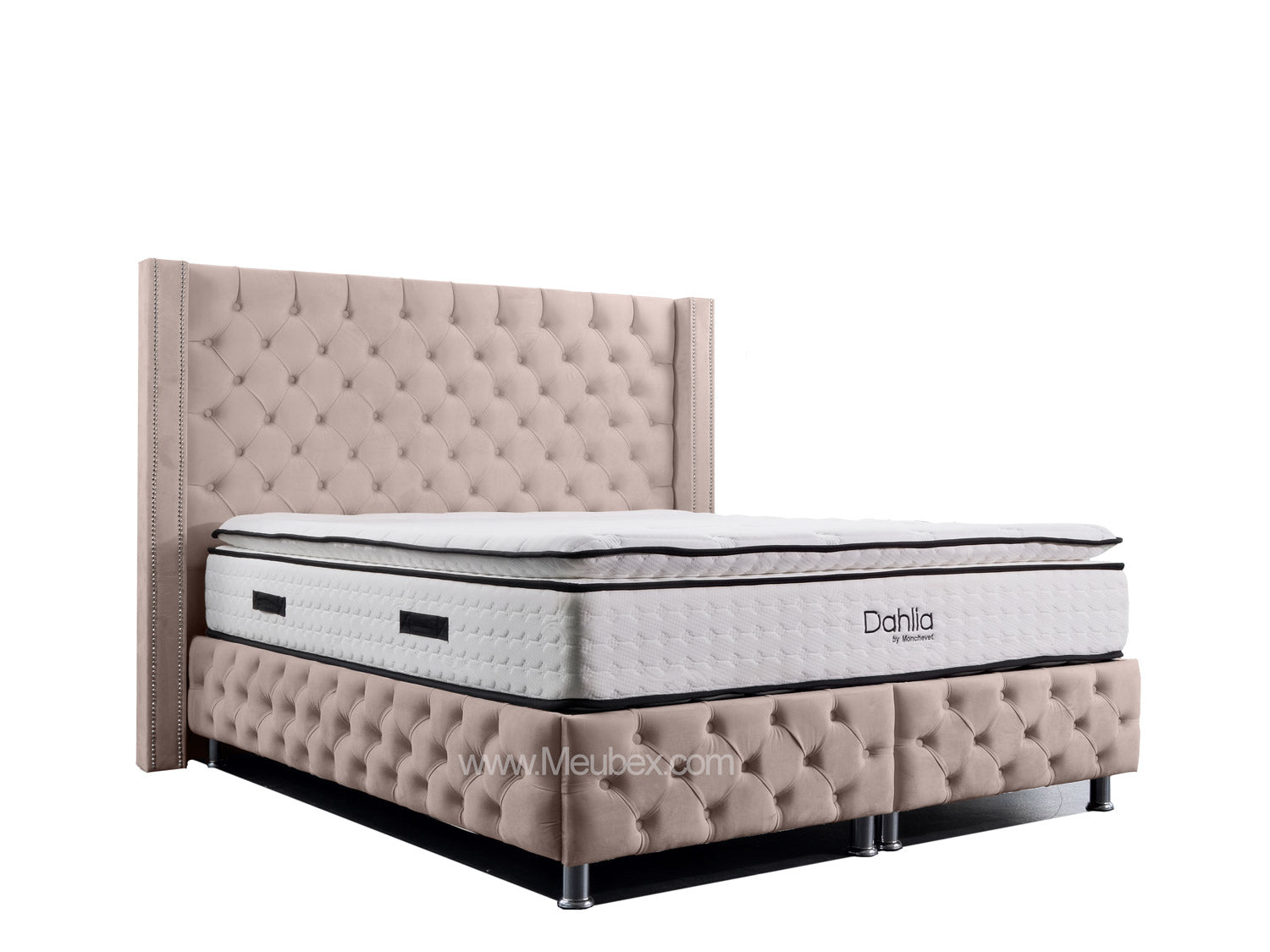 Pack Clouté Beige x Dahlia x Lexus Marbella Beige