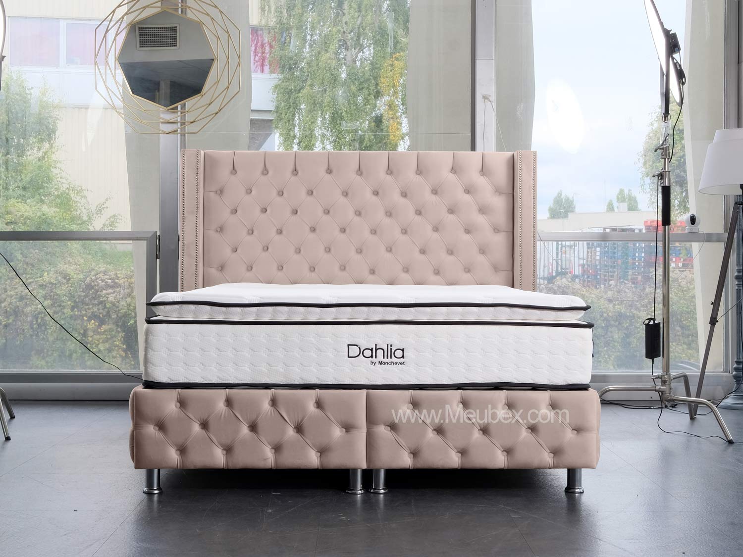 Pack Clouté Beige x Dahlia x Lexus Marbella Beige