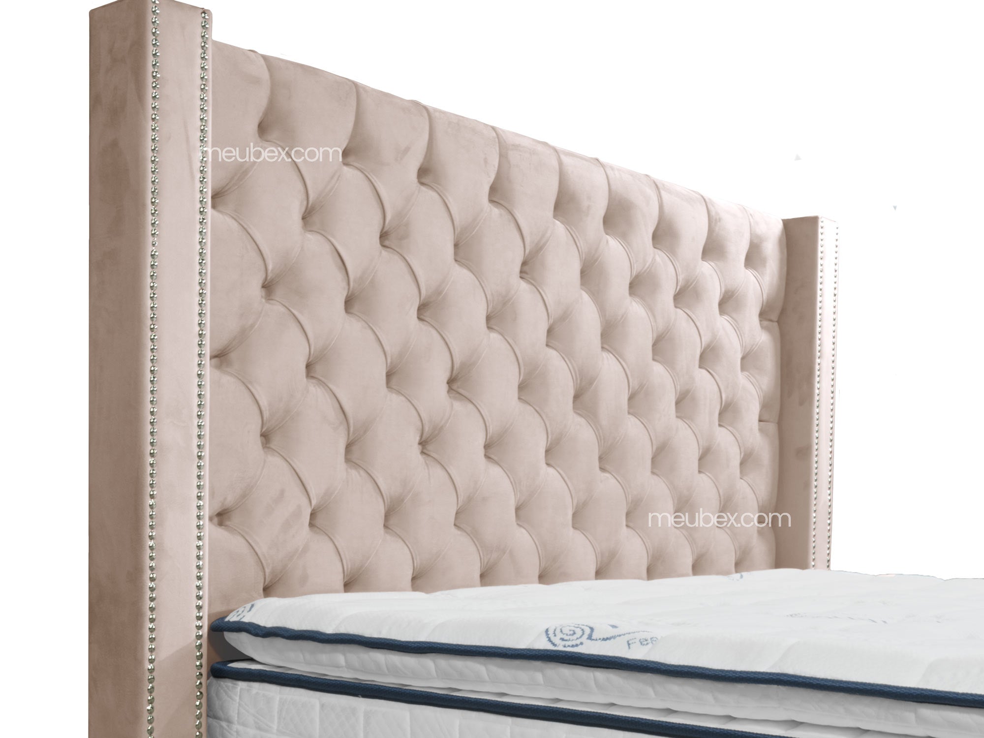 Pack Clouté Beige x Lexus Marbella Beige