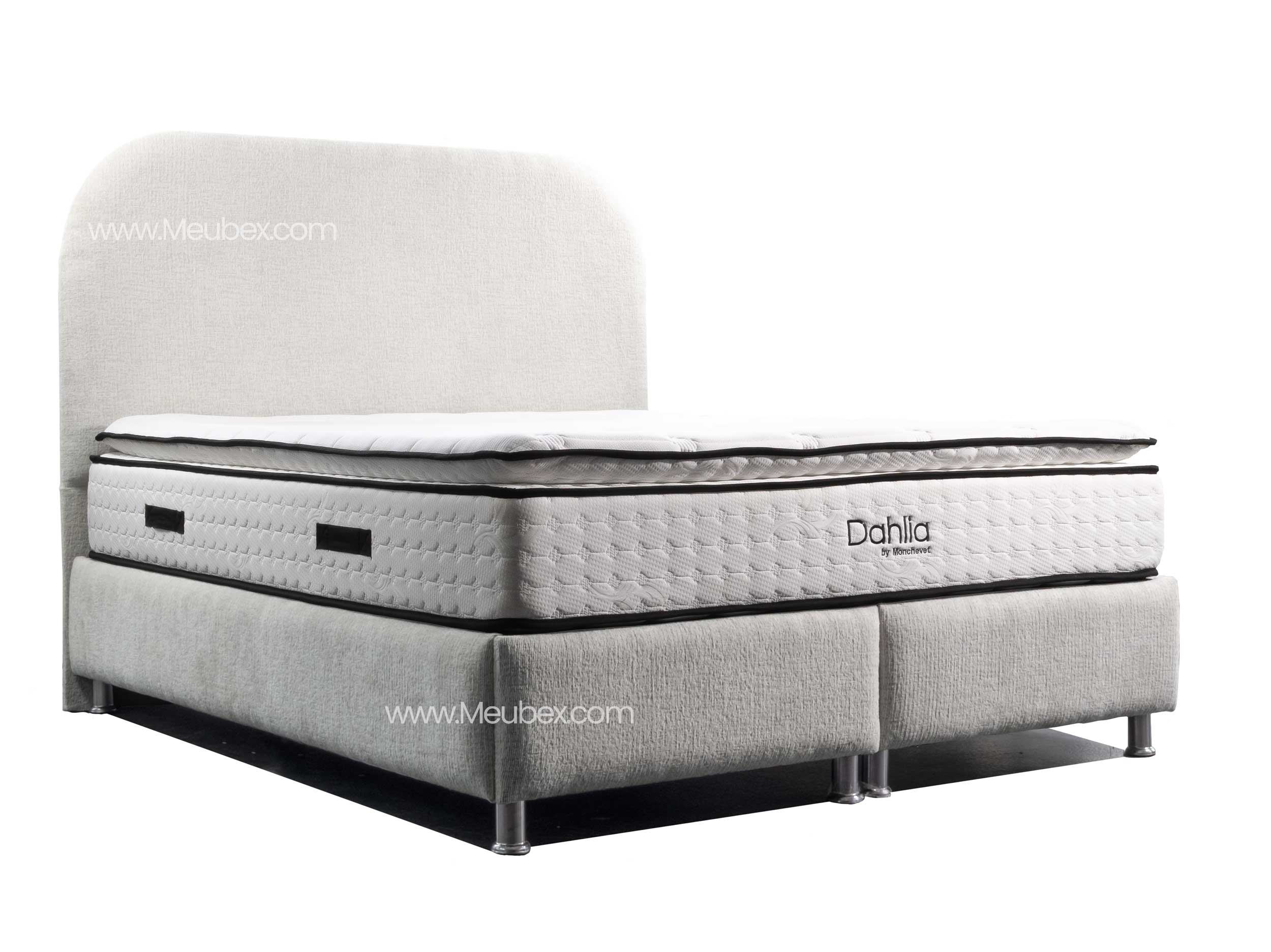 Pack Jade | Dahlia 32cm