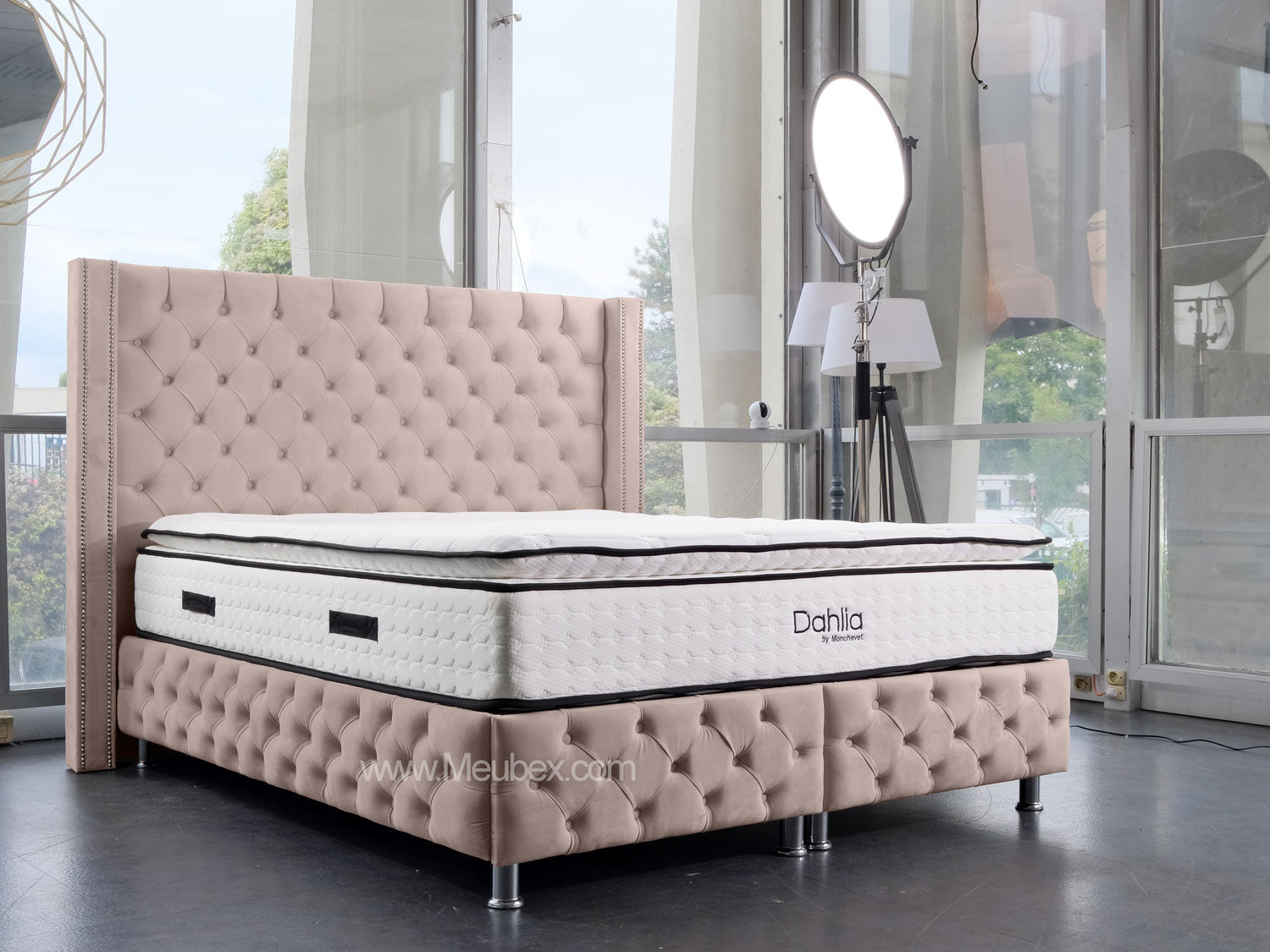 Pack Clouté Beige x Dahlia x  Lexus Marbella Beige