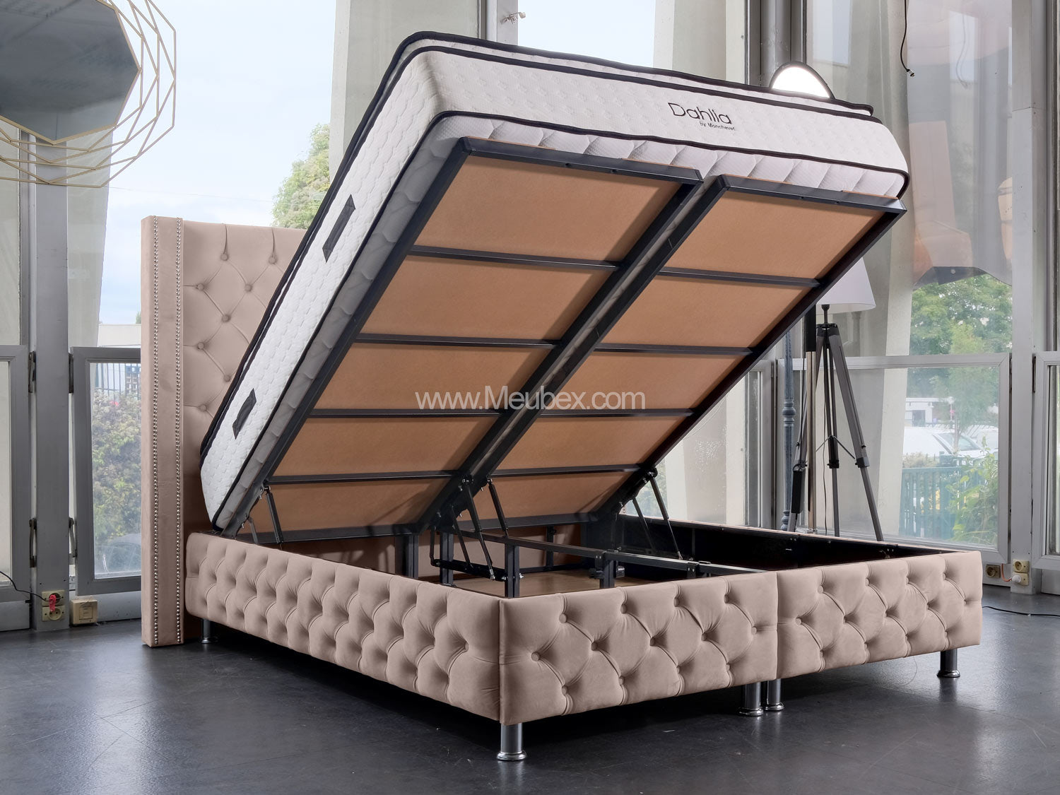 Pack Clouté Beige x Dahlia x  Lexus Marbella Beige