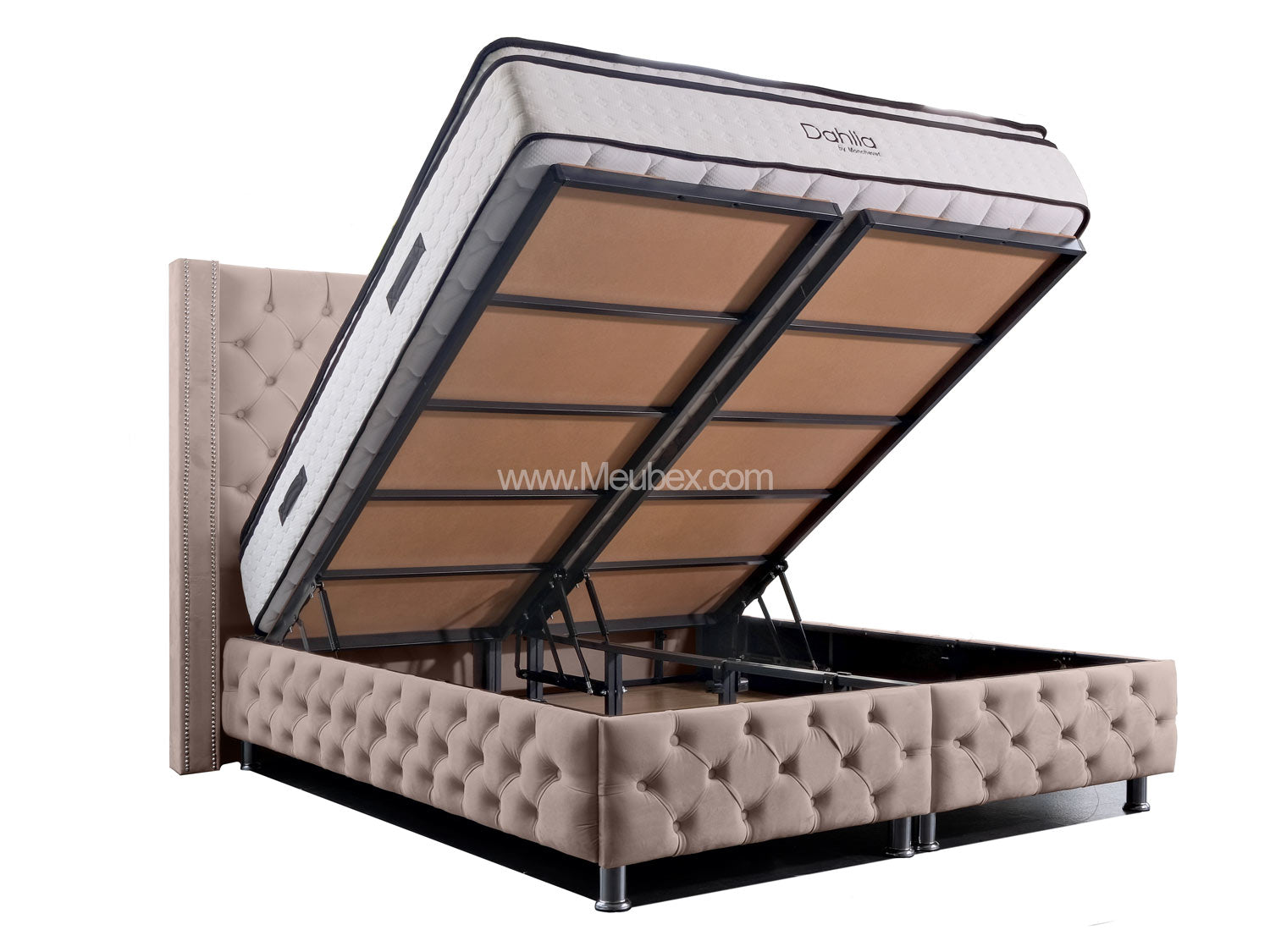 Pack Clouté Beige x Dahlia x  Lexus Marbella Beige